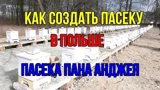 Работа в Польше пчеловодом, пчеловодство Польши организация  промышленной пасеки улей великопольский