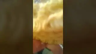 • Я на свидание с Закио #2 • едим ролтон в сухую •