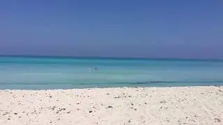 ПЛЯЖ. Отдых на Кубе. Варадеро март 2018. Brisas del Caribe 4*