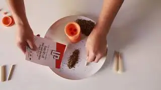 Wrong Way Video