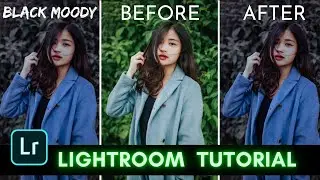#4 || Lightroom photo editing tutorial || PicassoEditz ||