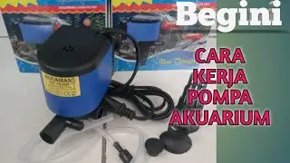 Cara Memasang Pompa Aquarium| Review Pompa Aquaman| Cara Kerja Pompa Aquarium| Mode Semburan Pompa