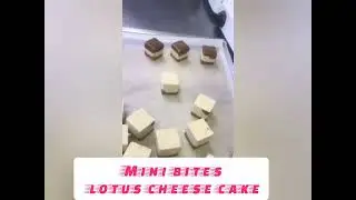 lotus cheese cake