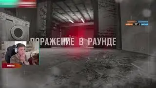 аринян хочет симпла | TWITCH FACTUM