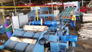 MSTAR MACHINERY---HIGH SPEED VENEER PEELING PRODUCTION LINE