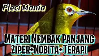 Materi Pleci Nembak Ziper Nobita +  Terapi Paling Ampuh!!!!