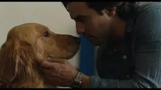The Art of Racing in the Rain | "Family" Spot | 20th Century FOX