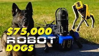New York Fire Department Recruits Robot Dogs to Assist Firefighters