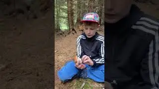 Наши с Тимуром грибные походы. Июль 23 Карпаты