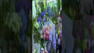 С днём рожденья веселое поздравление!!!
