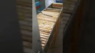 Взятка в наших краях больше не планируется. Снимаем все магазины, качаем мёд. 