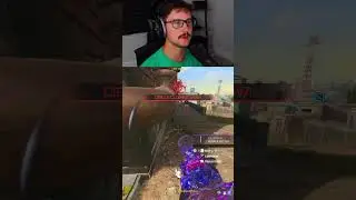 The Mosquito Finisher