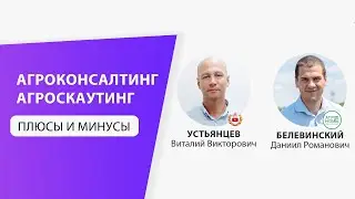 Агрономические консультации и скаутинг