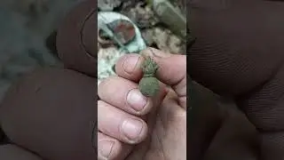 Коп по ПМВ.