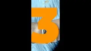 01-10-2024 Top 03 Watch Reel____V003