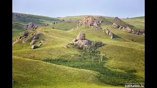 Даурский заповедник