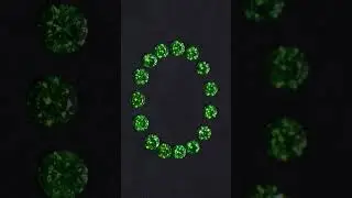 Demantoids "Precious Spring" | Драгоценная весна #chamovskikh #jewelry