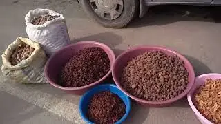 Mesudiye Cumartesi Pazarı