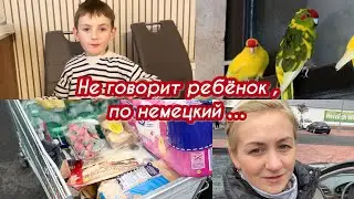 Закупка продуктов в Lidl ✔️ Почему ребенок не говорит по немецкий ✔️ Про попугая 🦜 , всё что надо.