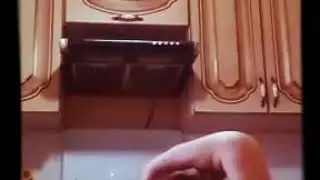 Коты Воители