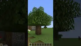 Minecraft But with Gravity