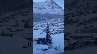 Grindelwald, Switzerland 🇨🇭 
