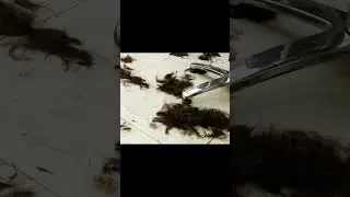 пранкуите друзей 