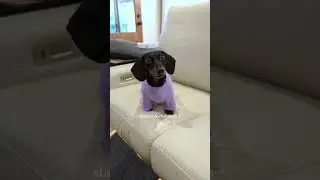 Interview with Buttercup 