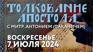 Воскресенье, 7 июля 2024 года. Толкование Апостола с митр. Антонием (Паканичем).