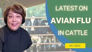 What's the Latest on AVIAN FLU in Cattle?