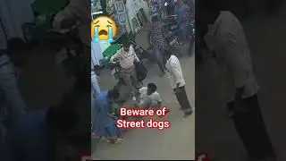 Beware of street dogs