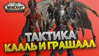 Генералы Каменного Легиона, Кааль и Грашаал ⚔️ Замок Нафрия 🏰 Тактика нормал и героик 💀 Shadowlands