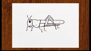 How To Draw A Grasshopper Step by step