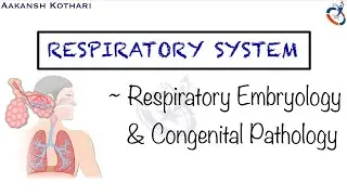 Respiratory Embryology and its related Congenital Pathology | Respiratory System by Aakansh Kothari