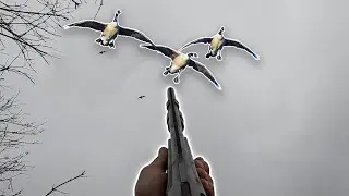 This Goose Hunt DID NOT go as planned....
