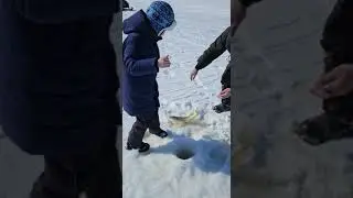 1мая.Щука на жерлицу.Рождение рыбака:)