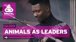 Brutal Assault 21 - Animals As Leaders (live) 2016