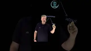 Биохимия: Сложный белок 