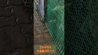 강아지 양변기ㅡ오줌통
