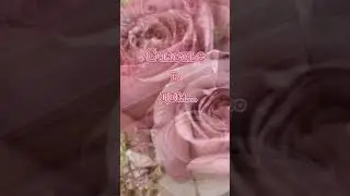 Доброе утро 🥰