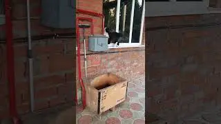 охота