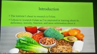 Folate Presentation