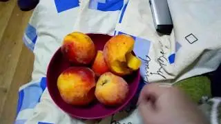 Затока и персики