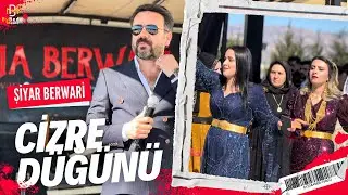 Şiyar Berwari - Cizre Düğünü [ 2024 ©️] شيار برواري
