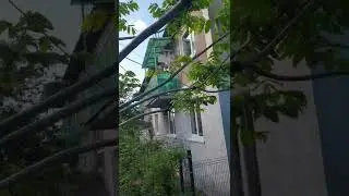 Удивительный грецкий орех