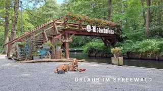Mit dem Deutschlandticket durch Deutschland | Urlaub im Spreewald | mit Hund