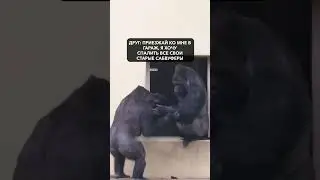 Как Разбавить Свой Скучный День