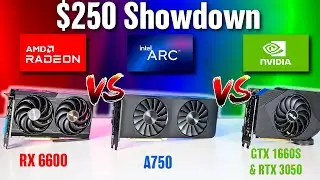 The Battle of the Budget GPUs: NVIDIA, Intel, and AMD Go Head-to-Head at $250