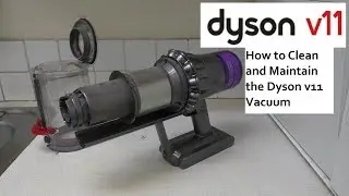 How to Clean and Maintain the Dyson V11 Cordless Vacuum Cleaner