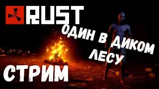 RUST МОЕ ВЫЖИВАНИЕ! ОДИН В ОДИНОКОМ ЛЕСУ!